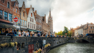 Vidange fosse septique Bruges